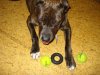 DSC05247.JPG