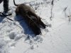 DSC05288.JPG